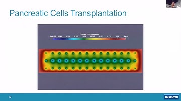 4 years of scientific computing using FreeFEM in the field of computational biomedical engineering