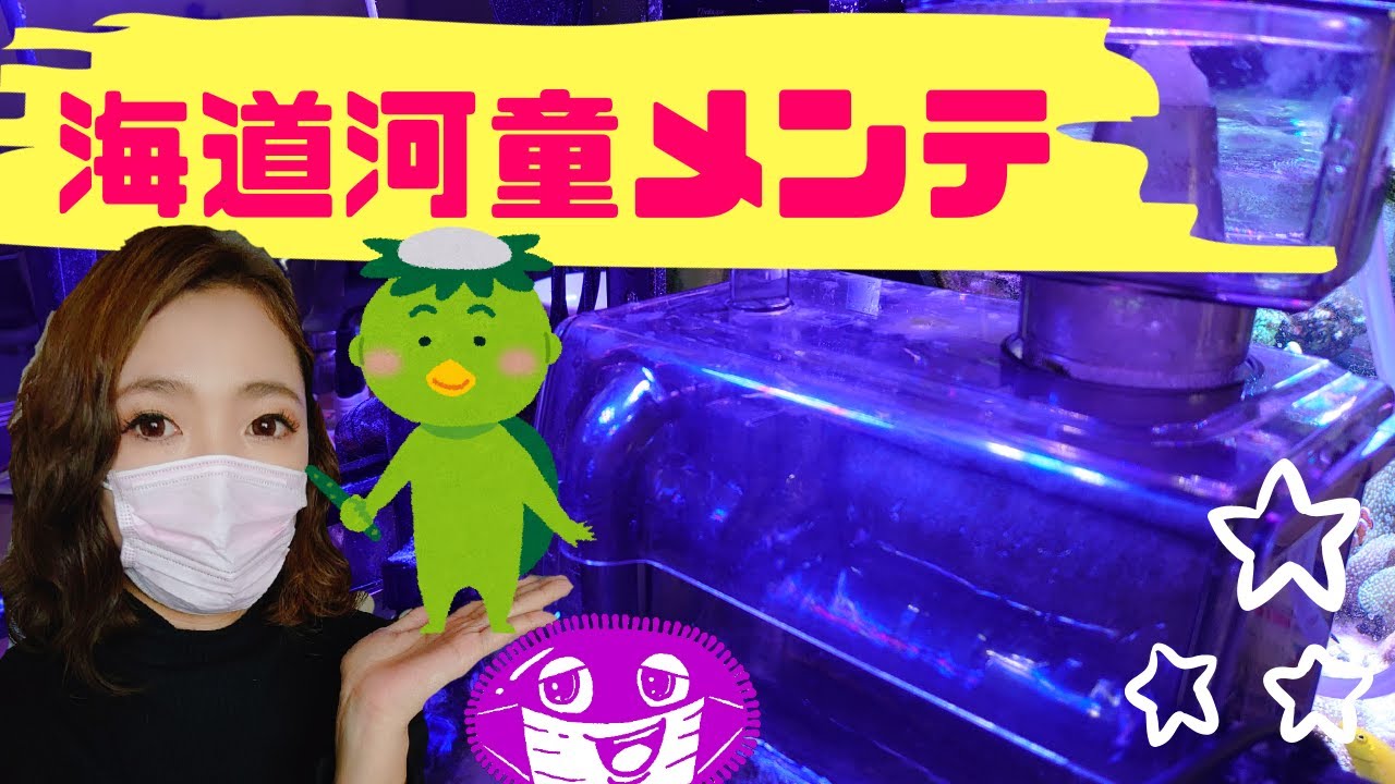 海道河童メンテナンス 海水魚水槽濾過フィルター掃除大事 My Marine Aquarium Moamoaちゃんねる Youtube 海道河童メンテナンス 海水魚水槽濾過フィルター掃除大事 My Marine Aquarium Moamoaちゃんねる Youtube