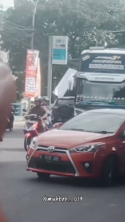 Tunggal jaya 'kids panda' membasuri #shorts #basuri #mengular