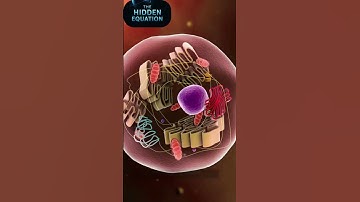 Quantum Tunneling Explained in 60 Seconds: How Particles Pass Through Solid Walls