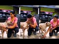 Tanya Ravichandran Latest Video in Dog | Tanya Ravichandran | Cinemaths Tamil