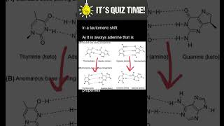 DNA: Tautomeric shift
