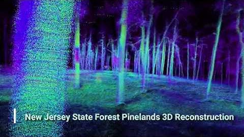 Autonomous UAV Flight and Mapping in Forests