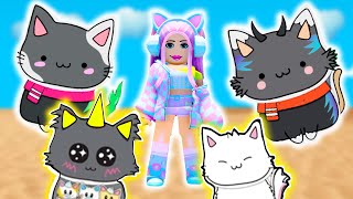 Собираю Котят В Роблокс ! Милые, Редкие, Пахсальные Котята В Roblox | 🐱Hatch The Cats🐱