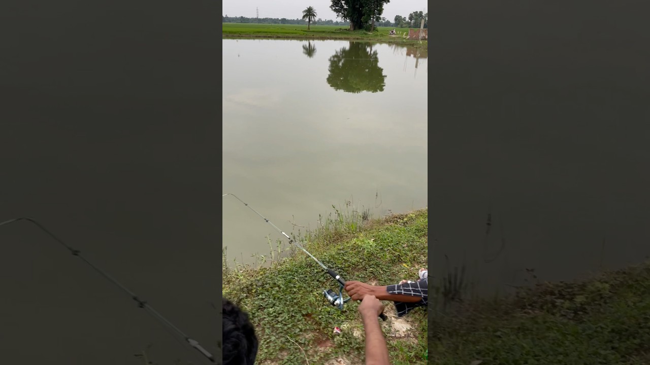 amazing fishing 