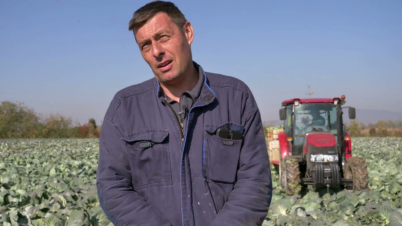 Naša priča ep. 327 25.11.2021. Zablace, povrće, krompir, kupus, Vučković, Pajović