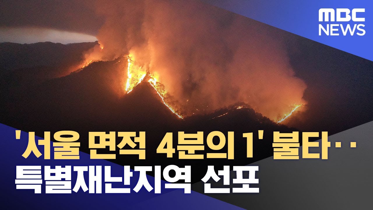 '서울 면적 4분의 1' 불타‥특별재난지역 선포 (2022.03.06/뉴스데스크/MBC)