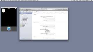 App Settings and Build Phases