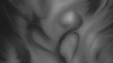 YG Pablo - Ellipse, Pt. 1 (Audio)