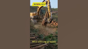 Xuvol clamp can clamp a lot of wood for loading and unloading in mountainous areas. #loggrappler