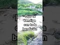 Dios te bendiga, con toda bendición #camino
