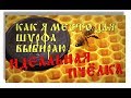 ВЫБОР МЕСТА ДЛЯ ШУРФА - ИДЕАЛЬНАЯ ПЧЁЛКА. "ПОСЛЕДНИЙ ШУРФ 2017"