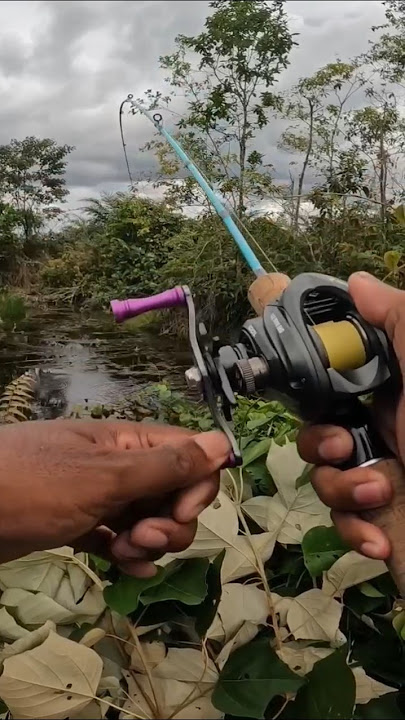 THE FISH WAS DROPPED TWICE, I THROWED IT IMMEDIATELY, IT STRIKED #fishing #angling