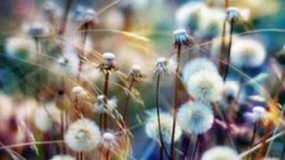 ERNESTO CORTAZAR - Somewhere over the rainbow
