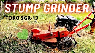 GRINDING TREE STUMPS | HOME DEPORT RENTAL | TORO SGR-13