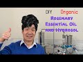 DIY Organic Rosemary Essential Oil and Hydrosol at Home, Steam Distillation of Dried Rosemary