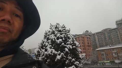 Light snow at magnum supermarket