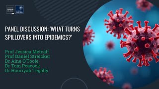 Panel Discussion: 'What turns spillovers into epidemics'