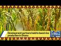Development partners hold to boost rice production in Ghana