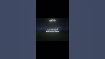 ايات من سورة الزخرف بصوت القارئ محمد لحيدان