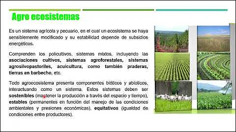 ¿Cuál es la función de agroecosistema?