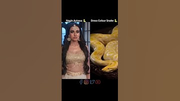 Dress Colour Snake of Nagin Actress 🐍 || #snake #dress #nagin #naginsong #nagindance