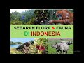 Geo xi 10 persebaran flora dan fauna di indonesia