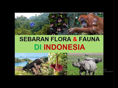 GEO XI. 10. Persebaran Flora dan Fauna di Indonesia.