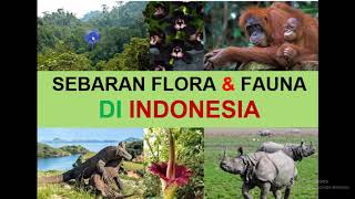 GEO XI. 10. Persebaran Flora dan Fauna di Indonesia.