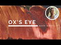 Ox's Eye - The Crystal of Resilient Adaptability