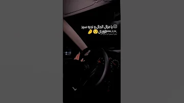 مزال الحال ونديه سيد الرجال تيكتوك وردة شاغلومانتي 