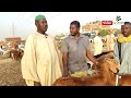 جولة سودان نيوز في سوق خراف الأضاحي 