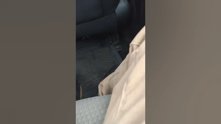 ceys a bitch