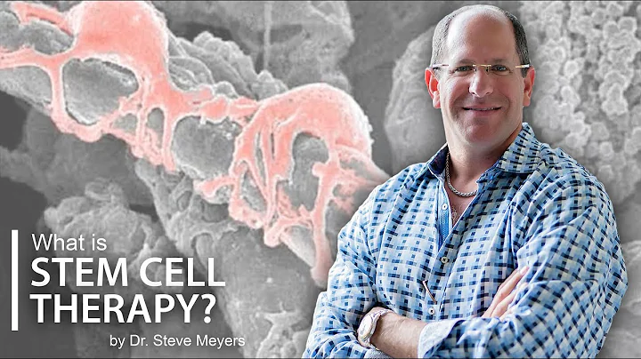 Regenerative Stem Cell Therapy Explained - Dr. Steve Meyers