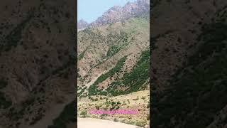 Colemerg (Hakkari) Resimi