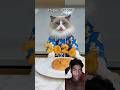 Happy#mew#year🙄#viral #🧐#shorts #😋#2026 # cake#cat 👌#video #😯