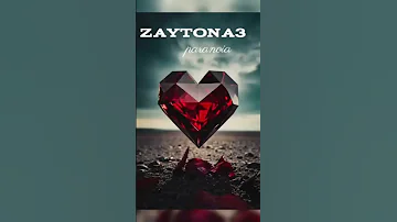 Paranoia Zaytona 