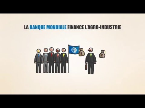La participation de la Belgique à la Banque mondiale – vidéo pédagogique