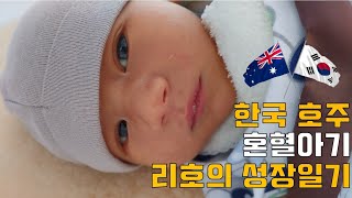 국제커플Amwf 한국 호주 혼혈아기 리호의 성장일기1개월차 Korean Australian Mixed-Blood Baby Leos Growth Diary