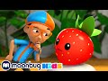 Frutas y vegetales - @BlippiEspanol | Blippi Wonders | Caricaturas para niños