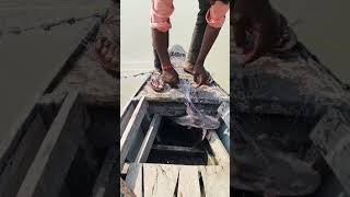 amazing fishing with River short virel video #fishhunting2 #fishhunting2