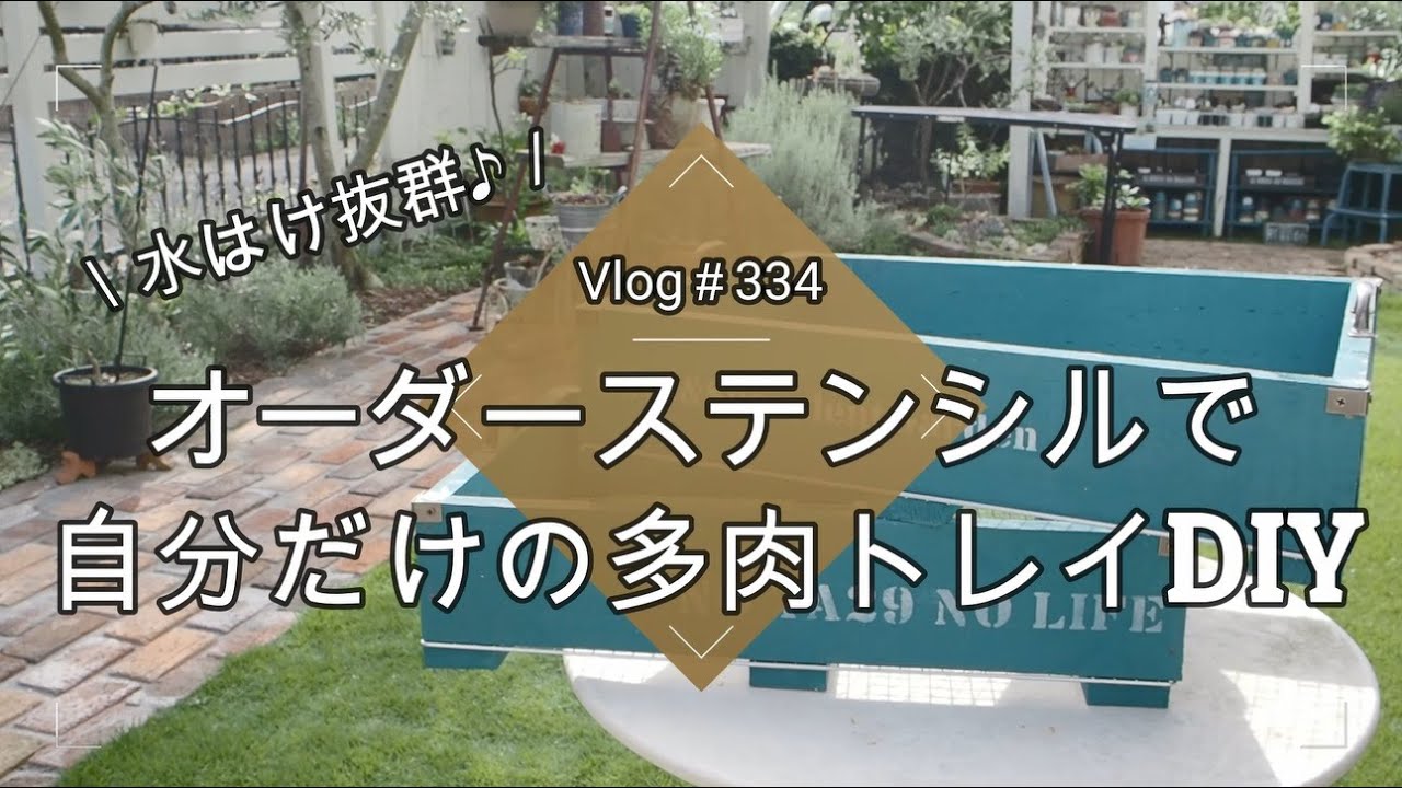 Vlog334】【多肉植物】水はけ抜群！オーダーステンシルで自分だけの