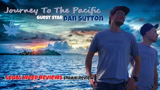 Tantalus PACIFIC OG strain review - ("Journey To The Pacific") - Legal Weed Reviews (18+)