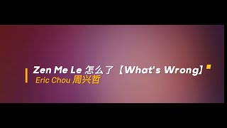 Zen Me Le 怎么了【What's Wrong】mmsub