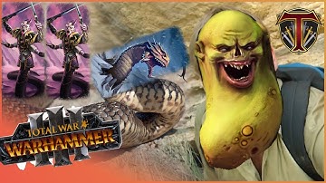 Tides of Torment | Forbidden Warriors of Chaos TECH! Dreadmaw & Champs of Slaanesh!