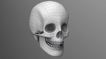 Skull 3D Modeling