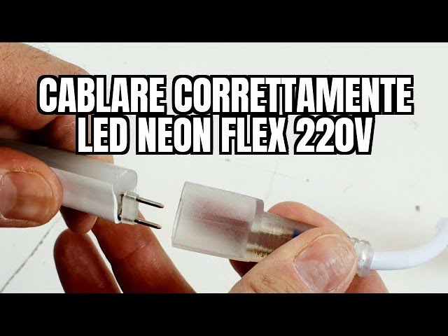 Prise secteur pour Néon Flexible LED 220V - Decoreno