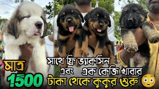 1500 টাকায় কুকুর 😱🔥| Serampore Pet Market | Recent Dog Puppy Price Update | Serampore Dog Market