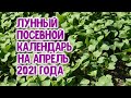 Лунный посевной календарь на апрель 2021 года. Агрогороскоп посевов овощных, цветочных растений