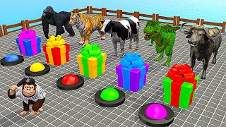 Choose The Right Gift Box Run Game With Elephant Cow Gorilla Buffalo Tiger Trex Wild Animals Games